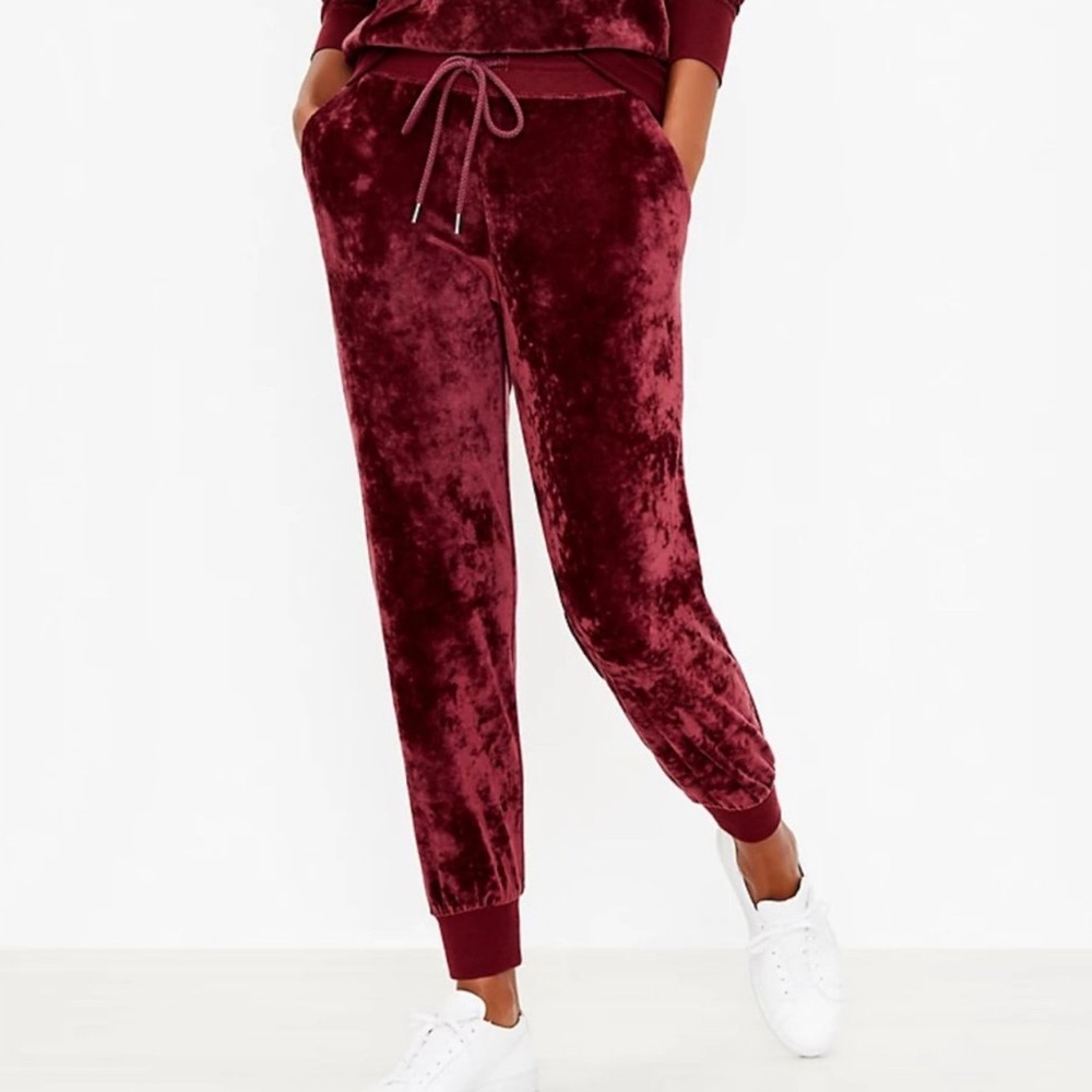 BNWT! Lou & Grey Crushed Velour Sweatpants❤️